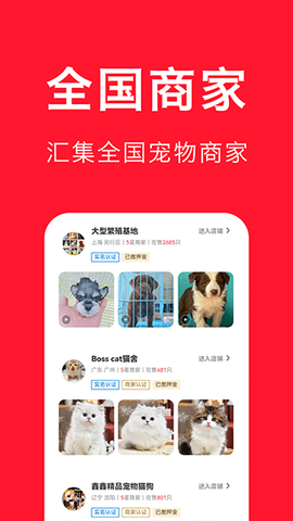 宠物宝图3