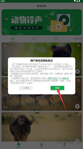 动物叫声之家[图1]