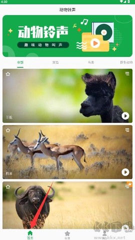 动物叫声之家[图3]