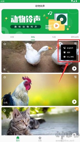 动物叫声之家[图4]