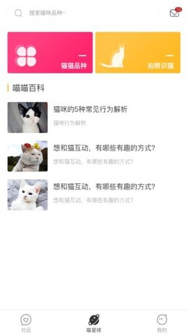 云养猫图1