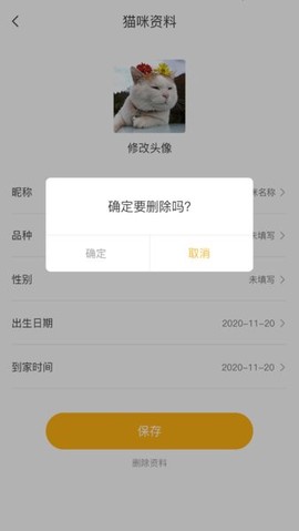 云养猫图2