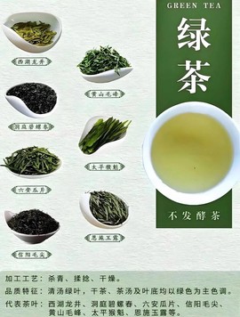 九阴真经绿茶怎么加工[图2]