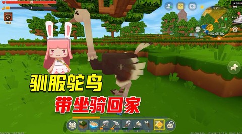 迷你世界怎么训服鸵鸟