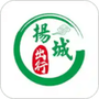 扬城出行