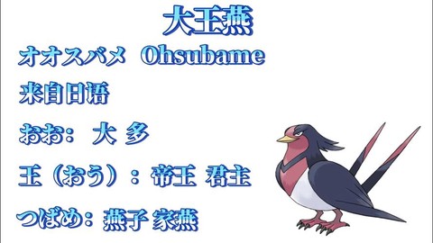 宝可梦的名字怎么写[图2]