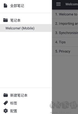 joplin[图4]