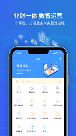 云简业财图2