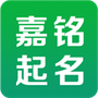 嘉铭宝宝起名平台