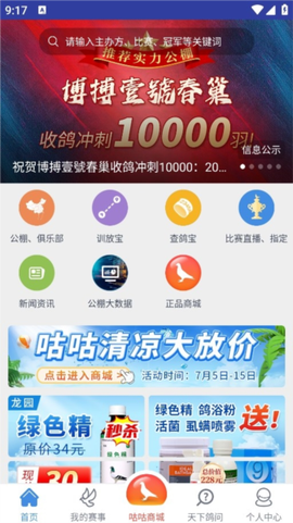 咕咕信鸽图1