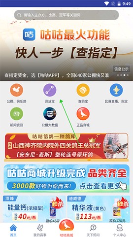 咕咕信鸽图2