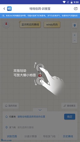 咕咕信鸽图3