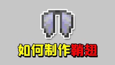 我的世界翼翅怎么用[图2]