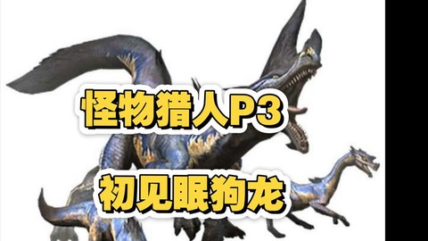 怪物猎人p3狗龙套怎么