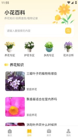 时小花养护图2