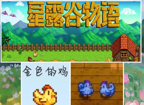 星露谷物语怎么给小鸡