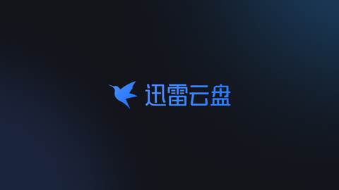 迅雷云盘图2