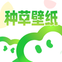 种草壁纸