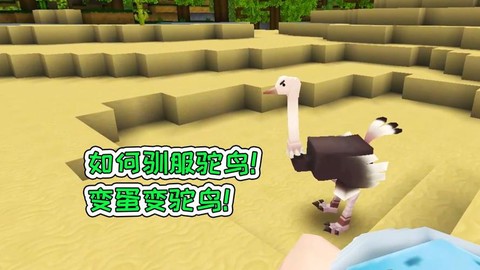 迷你世界怎么养驼鸟[图2]