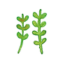 拜师学