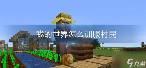 我的世界如何驯服村民[图2]