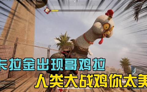 绝地求生中的鸡有什么用[图2]