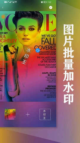 水印王图1