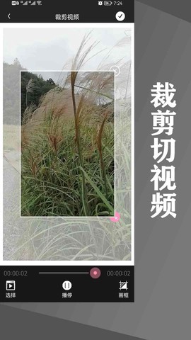 水印王图2