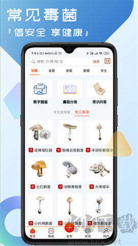 菌窝子[图1]