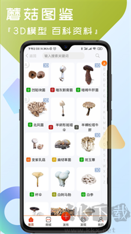 菌窝子[图2]