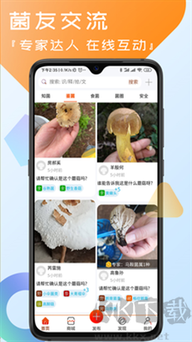 菌窝子[图3]