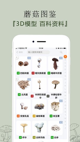 菌窝子图3