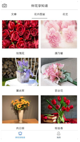 鲜花知识星球[图1]