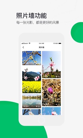 六只脚图3