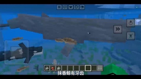 我的世界鲸鱼怎么做