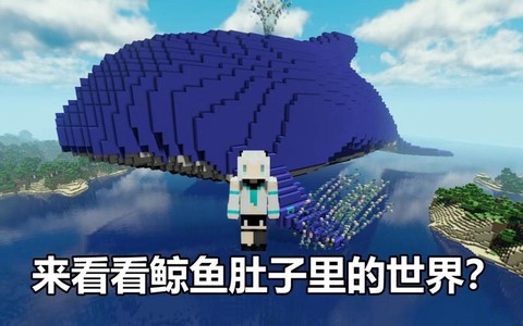 我的世界鲸鱼怎么做[图2]