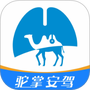 驼掌安驾
