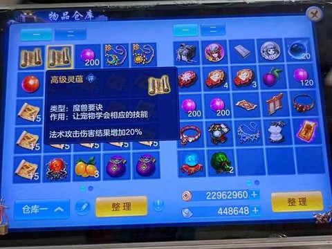 神武化生打什么宝石[图1]
