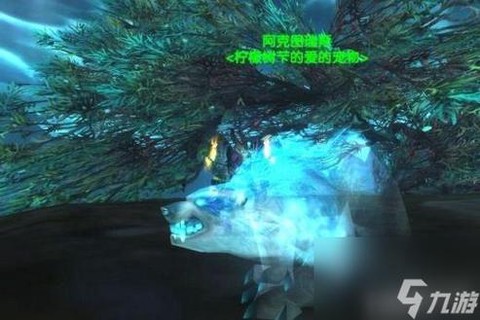 魔兽世界灵魂兽有什么用