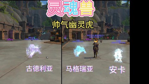 魔兽世界灵魂兽有什么用[图2]