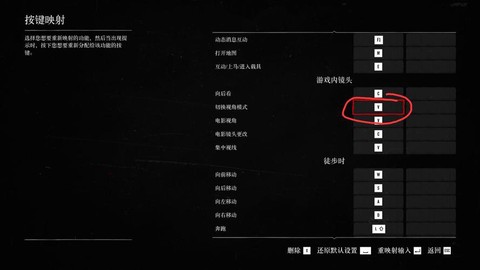 如何查看荒野大镖客帧数[图2]