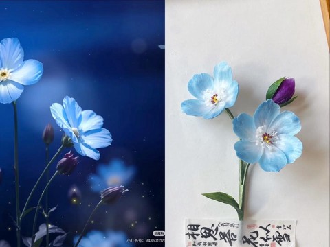 迷你世界星辰花是什么