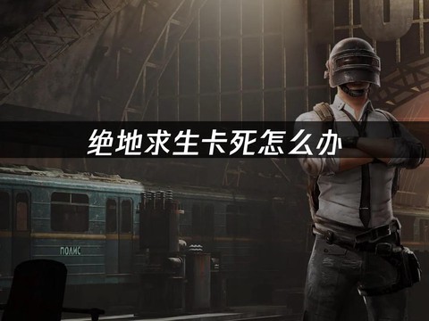 绝地求生有点卡怎么办