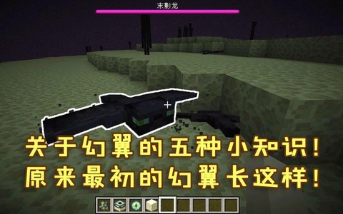 我的世界趐翼怎么用[图2]