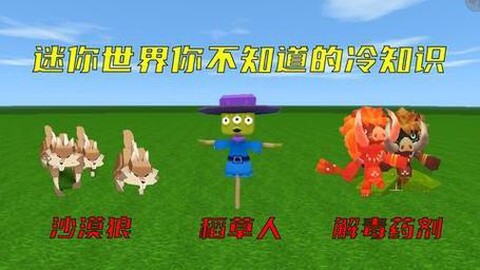 迷你世界怎么驯化狼
