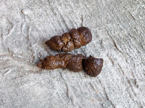 部落冲突烂狗屎是什么