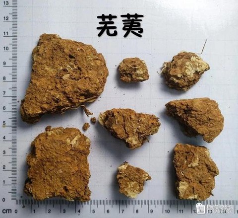 九阴真经天心药录出什么