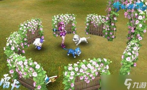 倩女幽魂灵兽如何获得[图2]