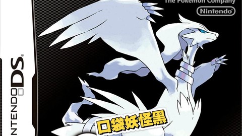口袋妖怪黑怎么删档[图2]