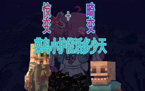 我的世界小七和小护什么关系